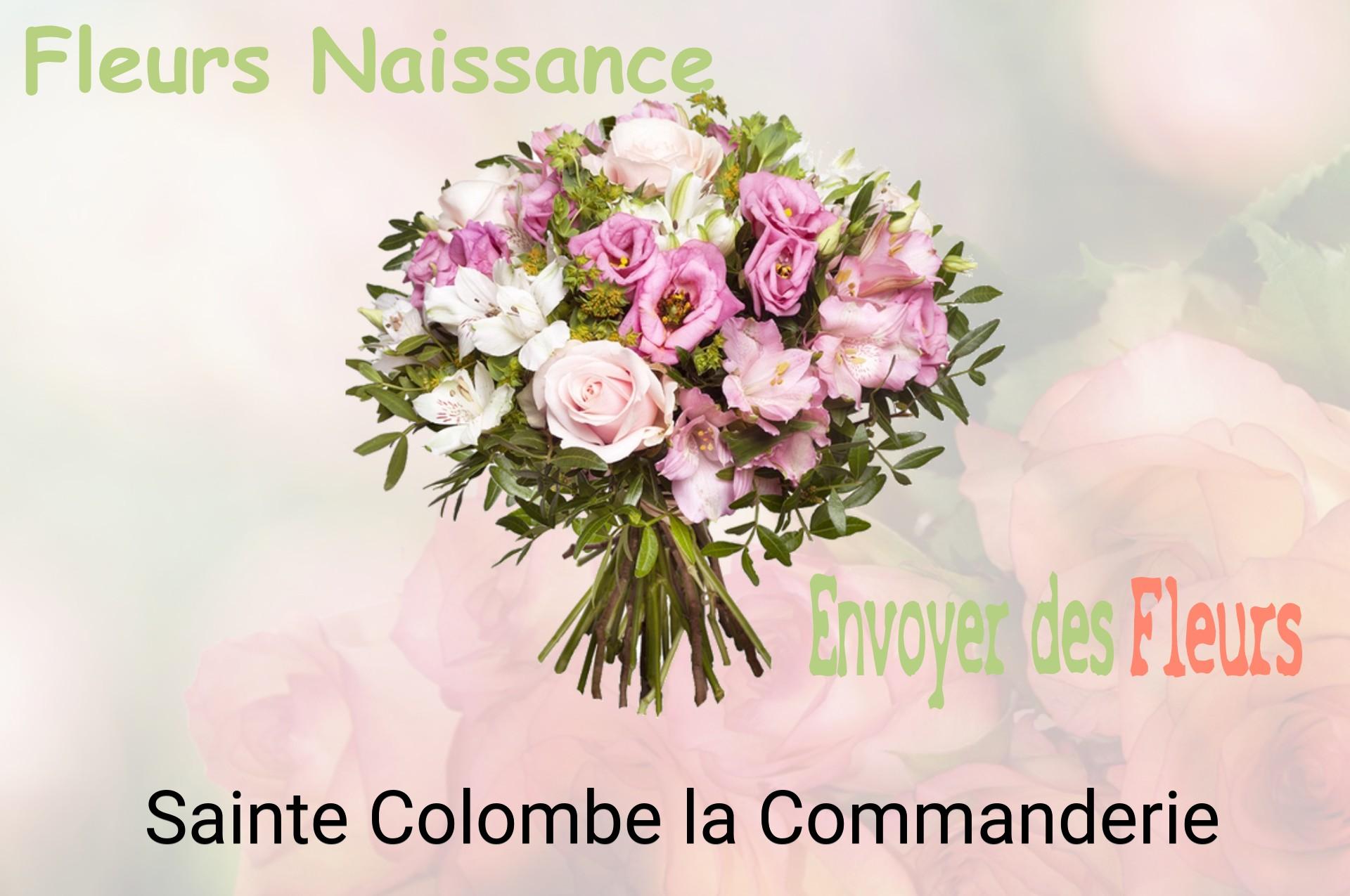 Bouquet de fleurs de naissance livré à Sainte-Colombe-la-Commanderie